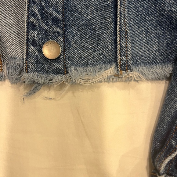 CELLO SLIGHTLY CROPPED DENIM JACKET - Picture 3 of 3